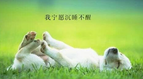 保健品海关,保健品海关关税