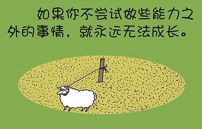 蒙顶茶,蒙顶茶泡几分钟