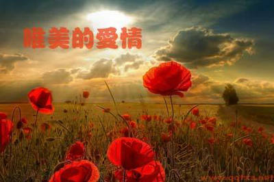 失眠不好睡觉吃什么药调理,失眠不好睡觉吃什么药调理好