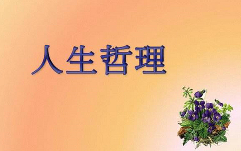 残念系是什么意思?是什么梗?