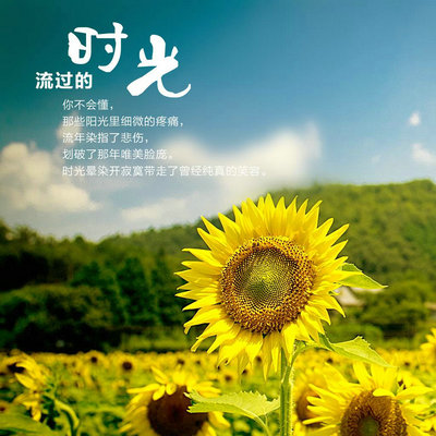 包含甲醛会导致身体出现哪些状况图片的词条