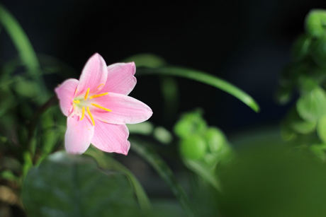 甲醛怎么去除蔬菜上的甲醛怎么去除