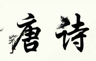 3）岁哪里有团购？
