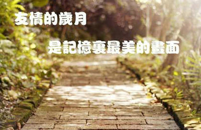 红菜头营养功效与作用（红菜头的功效与副作用）
