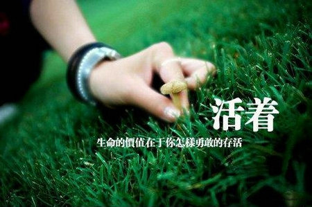将军走此小道是什么梗?