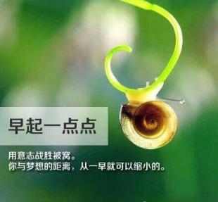 中国白酒十大名酒排名前十名,中国白酒十大名酒排名