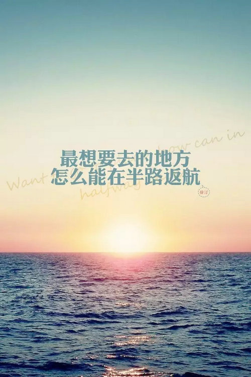 中茶牌,中茶牌圆茶蓝印