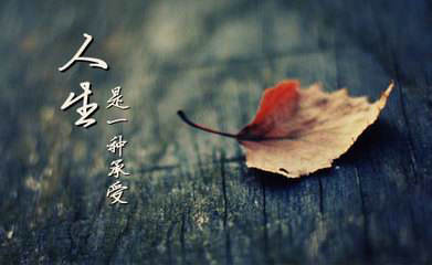 “才进来就被裤子绊倒了”是什么意思？是什么梗？
