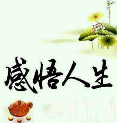 龙井茶简介,乌龙茶的由来