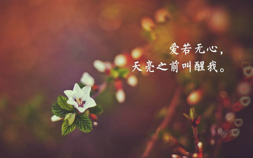 大印象减肥茶副作用大印象减肥茶怎么喝能减肥