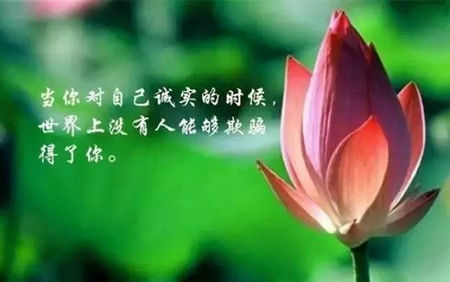 无药物助眠:如何战胜失眠的五大法宝