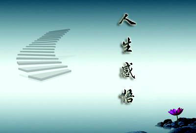 “码绿基红”是什么意思？是什么梗？