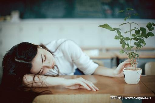 酒的价格在哪个网站上查酒价格查询在哪个网站