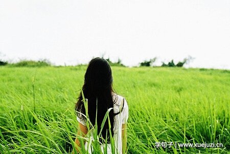 白酒有几种类型,白酒有几种类型的