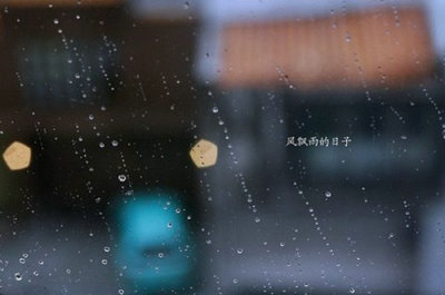 热门保健酒品牌推荐:劲酒、竹叶青酒、宁夏枸杞酒,哪款更适合你?