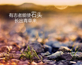 保健物质,保健金属