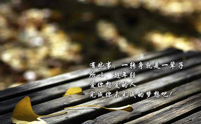 立顿茶包,立顿茶