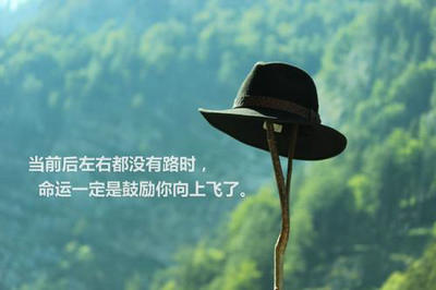 白沙溪黑茶官方旗舰店白沙溪黑茶