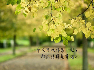 你对象真棒是什么意思?是什么梗?