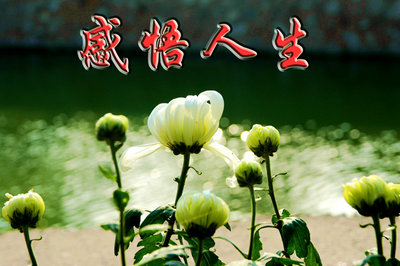 甲醛的危害和防护作文怎么写甲醛的危害和防护