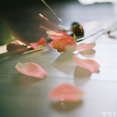 朱砂痣是什么意思(朱砂痣在爱情中表达的是什么)