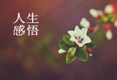 养猪保健,养猪保健用药有哪些