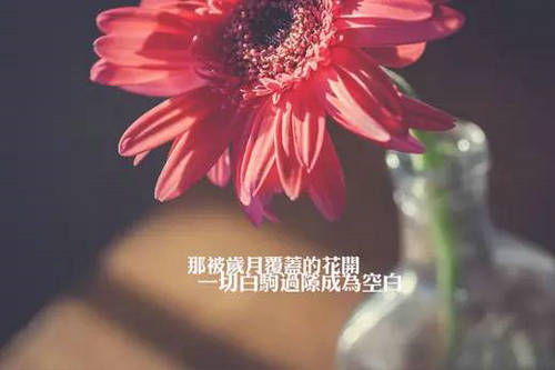 除甲醛最有效的办法除甲醛最有效的办法是什么