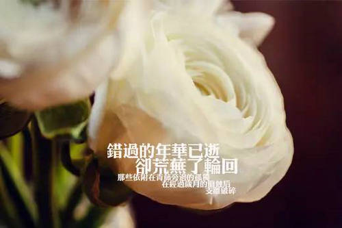 丽水妇幼保健,丽水妇幼保健院24小时免费咨询
