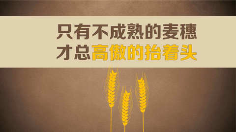 青钱柳茶,青钱柳茶越喝血糖越高