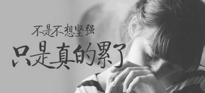 微信聊天记录 购买「今日查询价格692元」