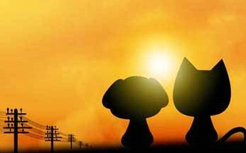 网络语白月光是什么意思,表达的是什么