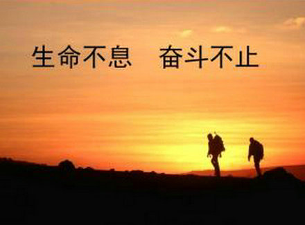 诗意养生茶：品味健康，领略生活之美