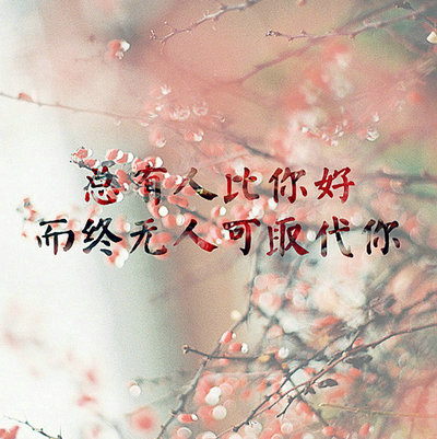 品味养生茶:健康生活的独特魅力