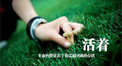太太减肥茶效果怎么样,臻好牌大肚子减肥茶