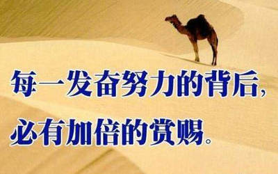 买个干洗机要多长钱(买一台干洗机需要多长钱)