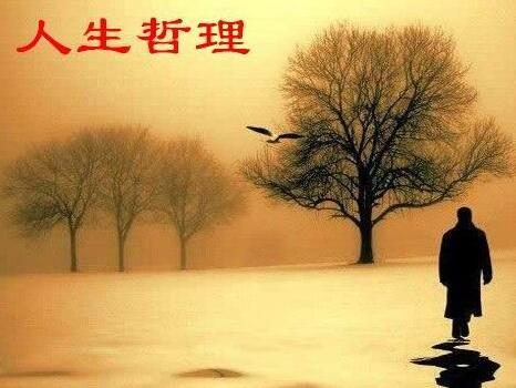 茅台在世界名酒排名世界名酒排名