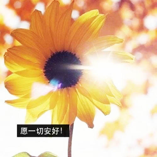 撒旦身上纹着你是什么意思？来源出处自哪里？