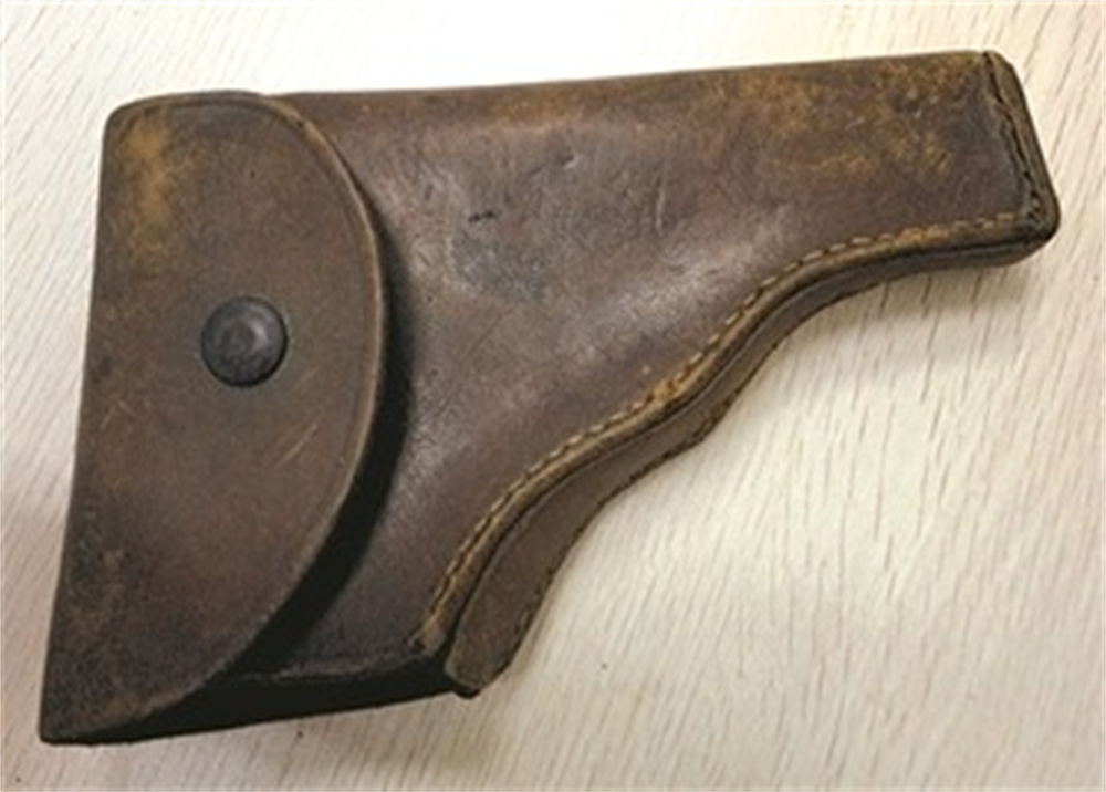 杨勇伟：智勇双全、大显神威的新四军敌工英雄