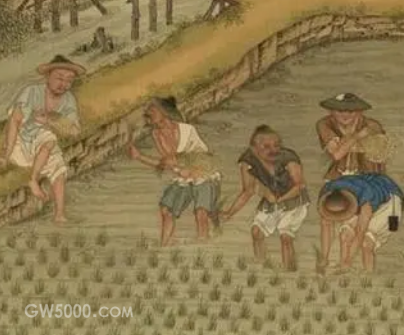 宋朝时期为何会出现粮食产量剧增的现象?